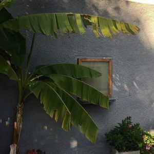 Meet your Posher, Lupe